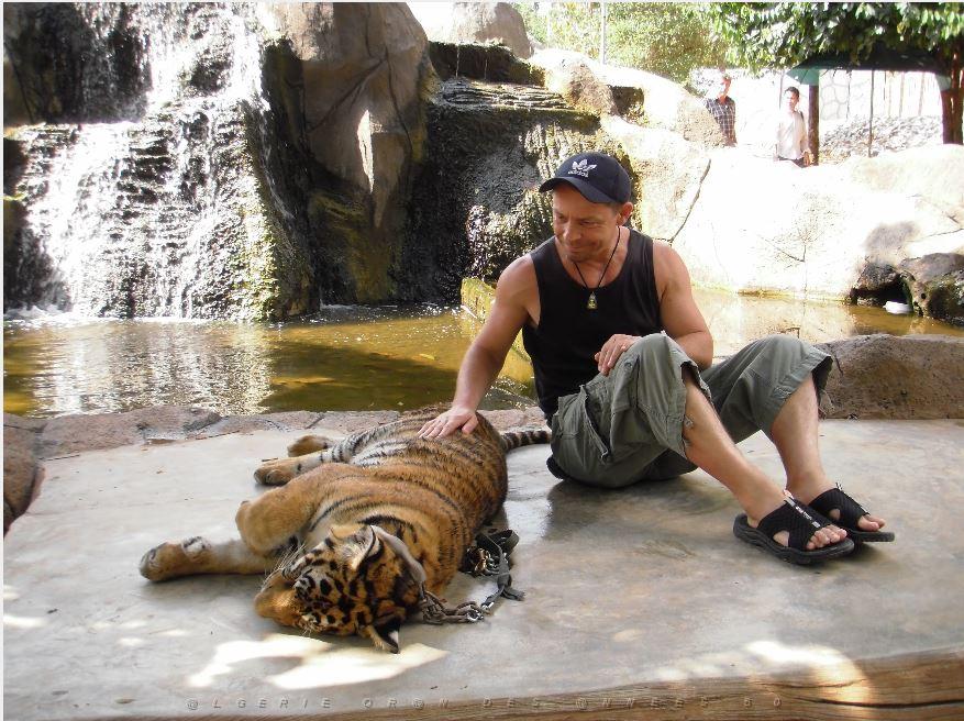 THAILANDE LE TEMPLE DES TIGRES (12).JPG